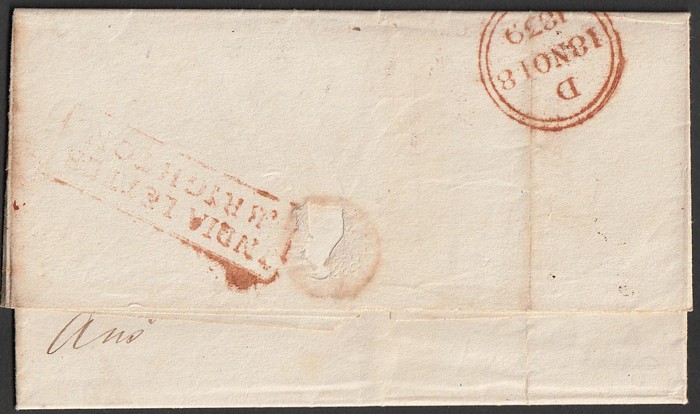 Lot 1449