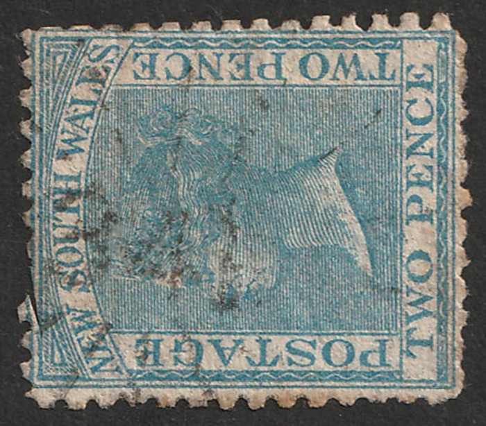 Lot 1555