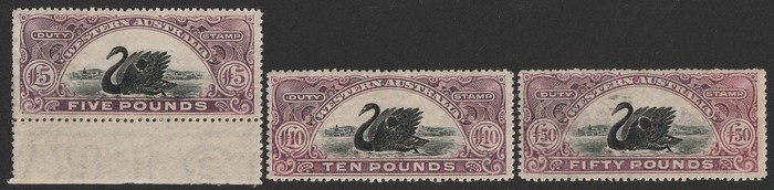 Lot 1804