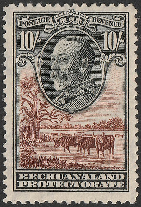 Lot 1901