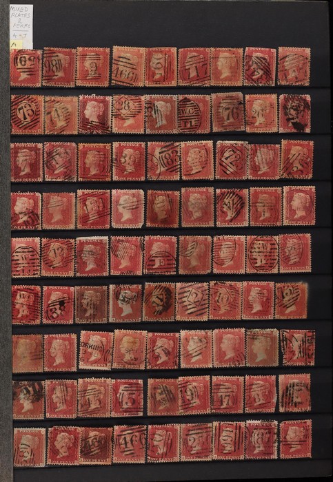 Lot 2685