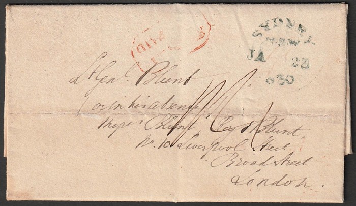 Lot 1259
