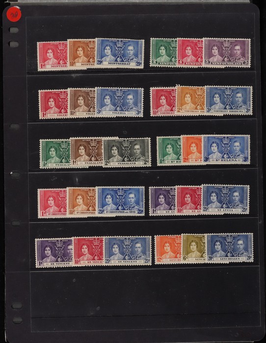 Lot 1564
