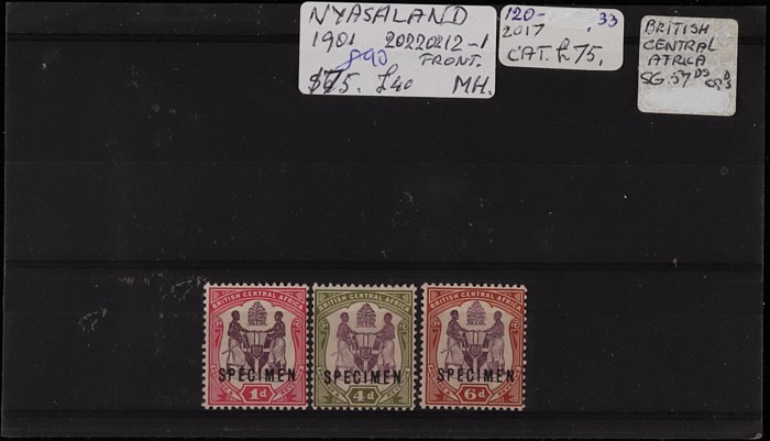 Lot 1575