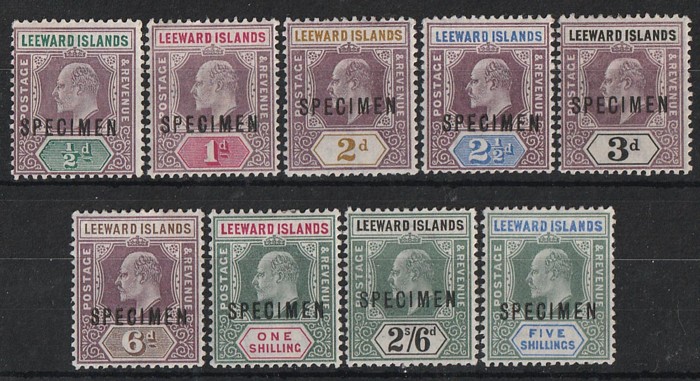 Lot 2536