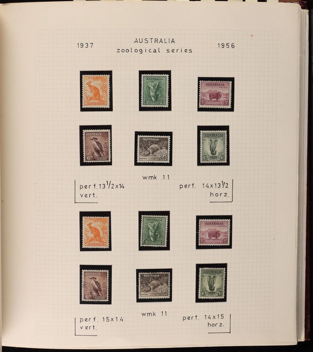 Lot 142