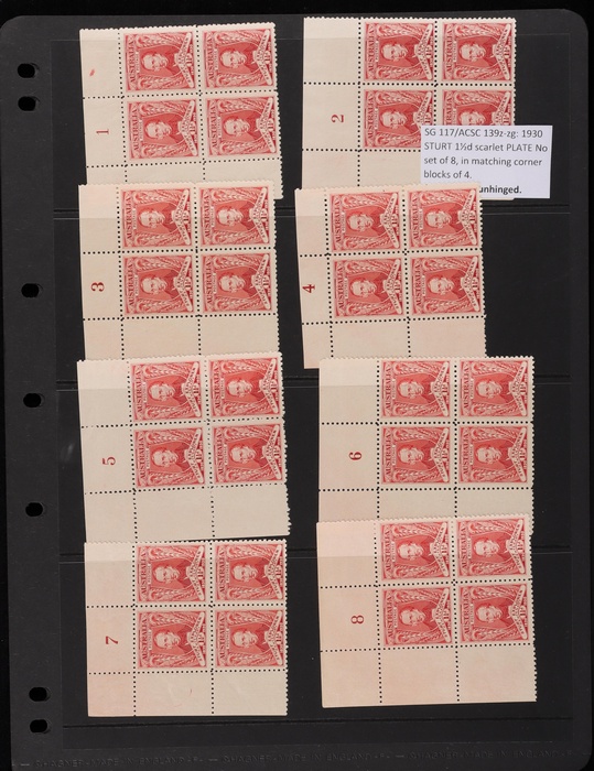 Lot 146