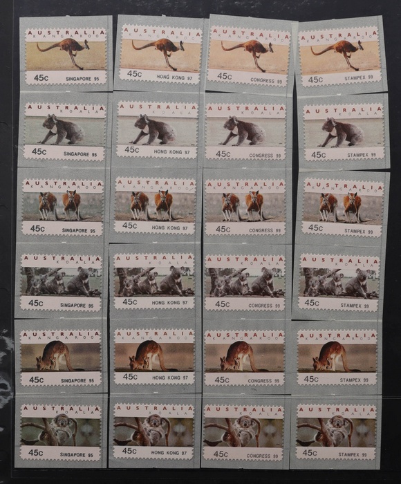 Lot 203