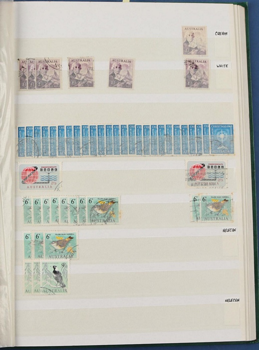Lot 247
