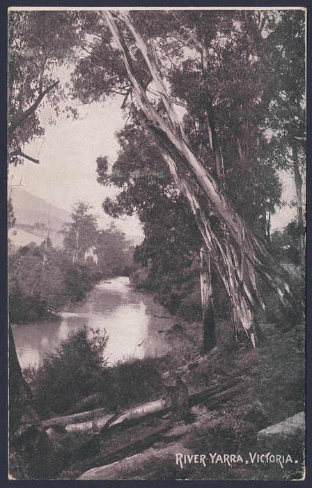 Lot 2608