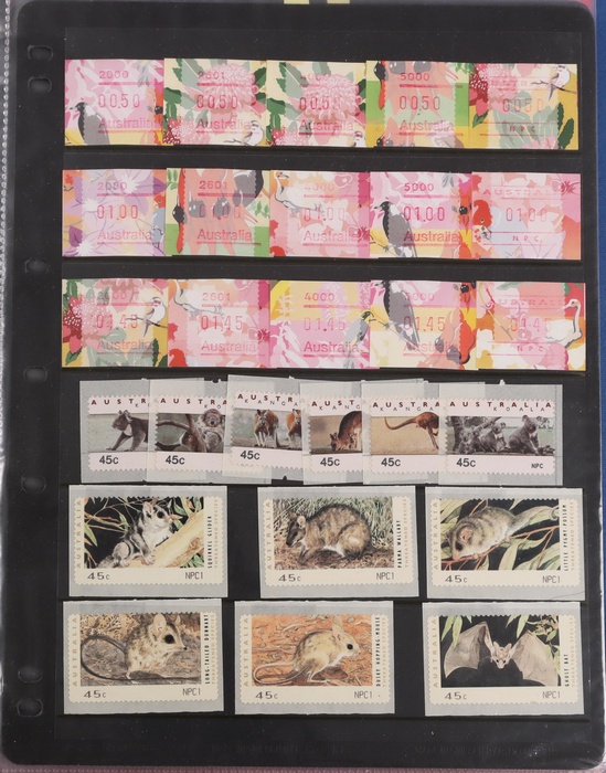 Lot 491