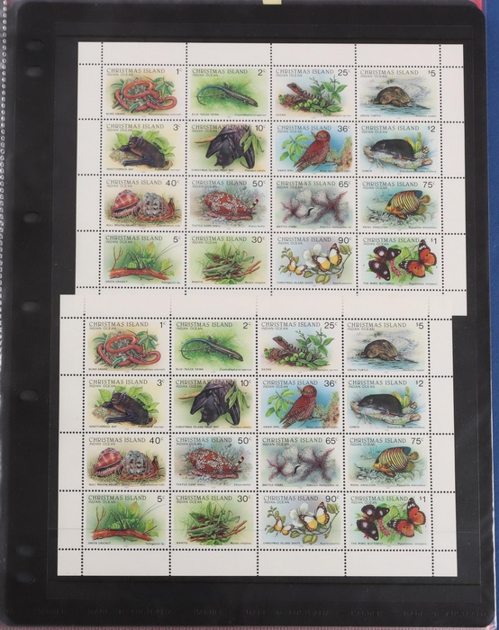 Lot 491