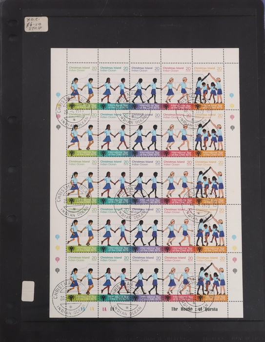 Lot 491