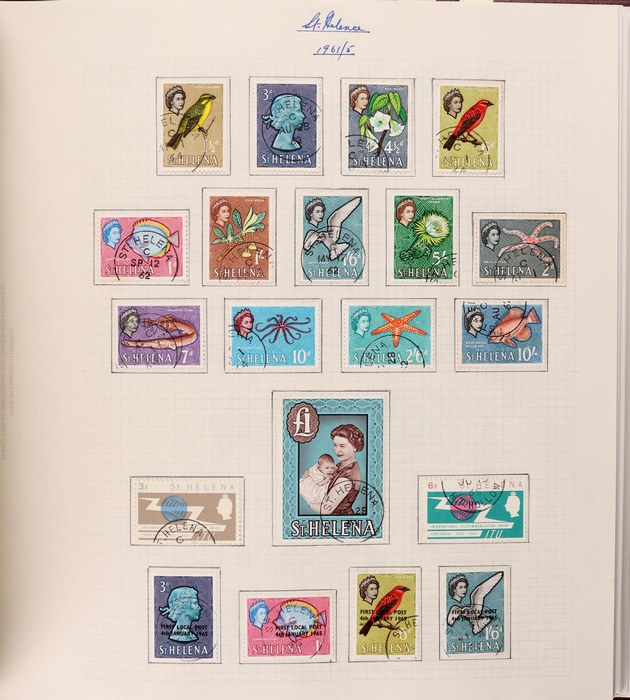 Lot 495