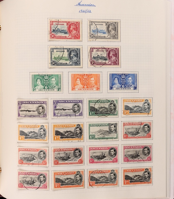 Lot 495