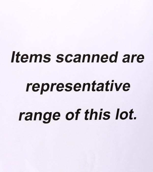 Lot 495