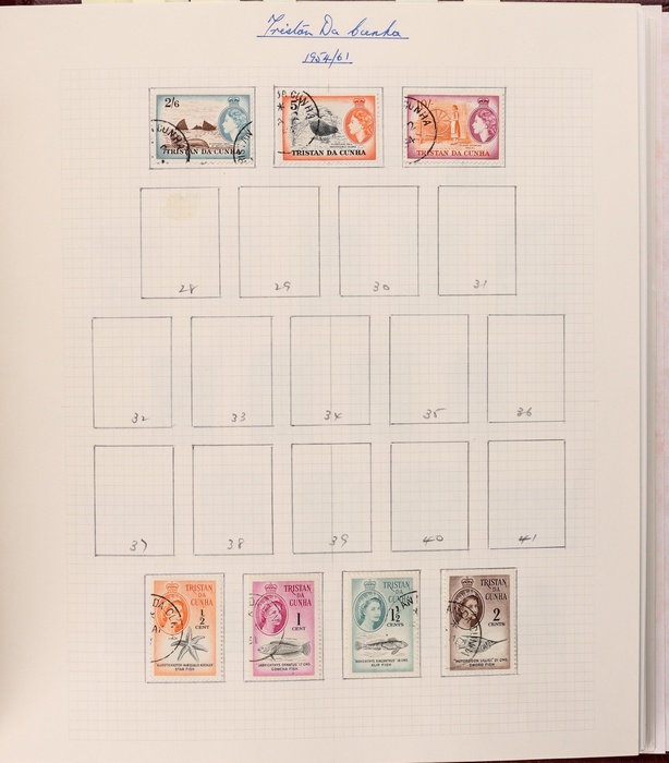 Lot 495