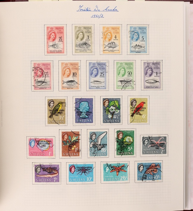 Lot 495