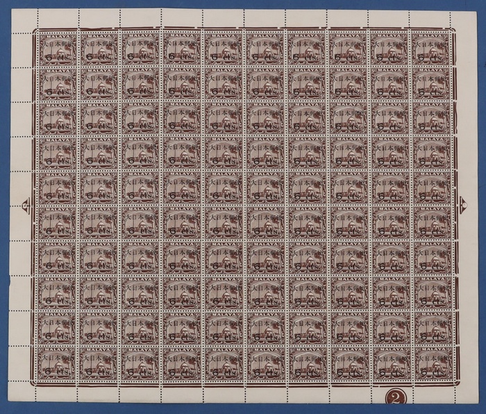 Lot 501