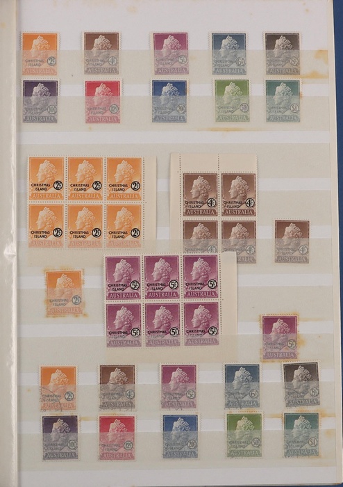 Lot 501