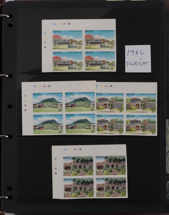 Lot 501