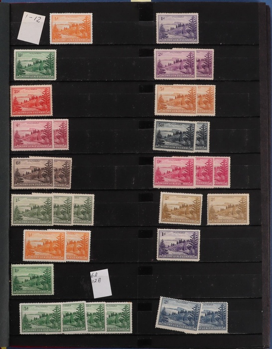 Lot 502