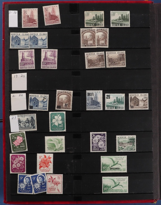 Lot 502
