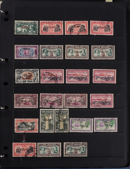 Lot 502