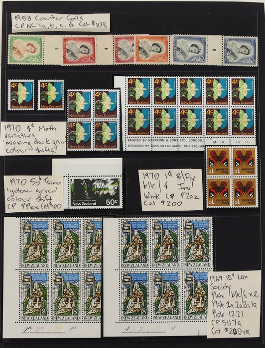 Lot 503