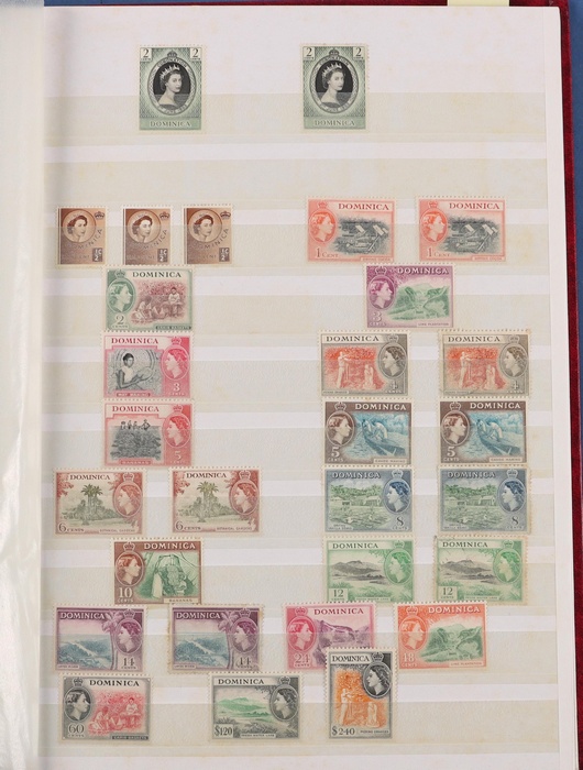 Lot 507