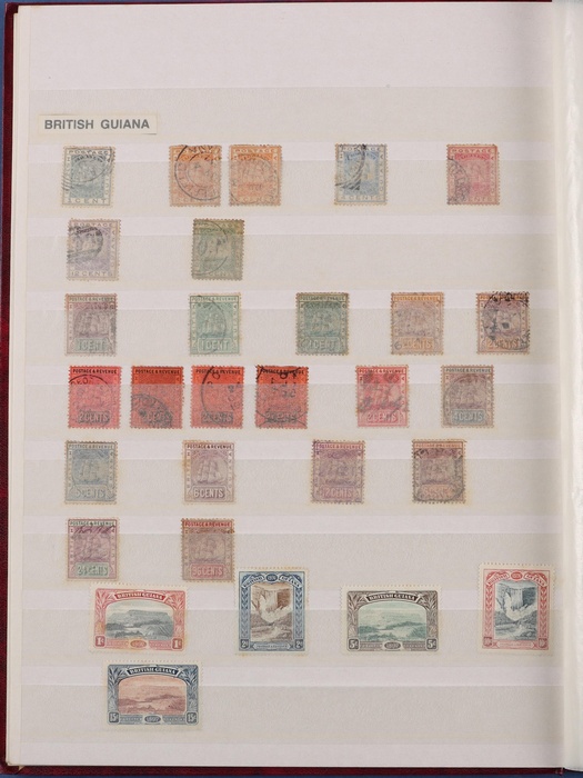 Lot 507