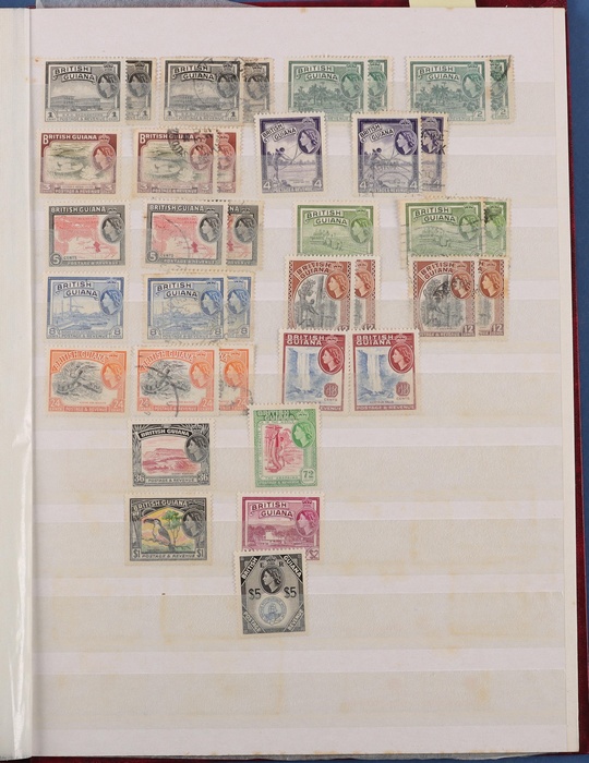 Lot 507