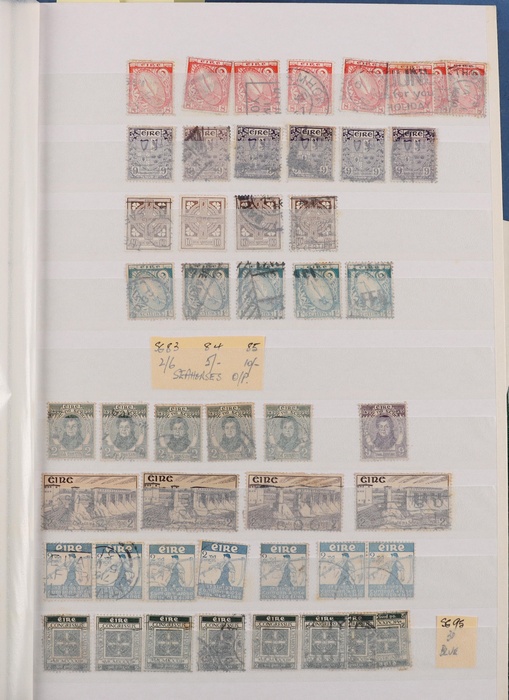 Lot 507