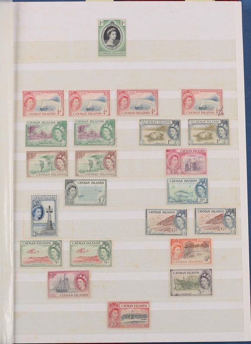 Lot 507