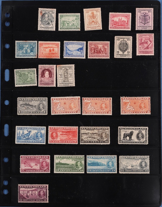 Lot 510