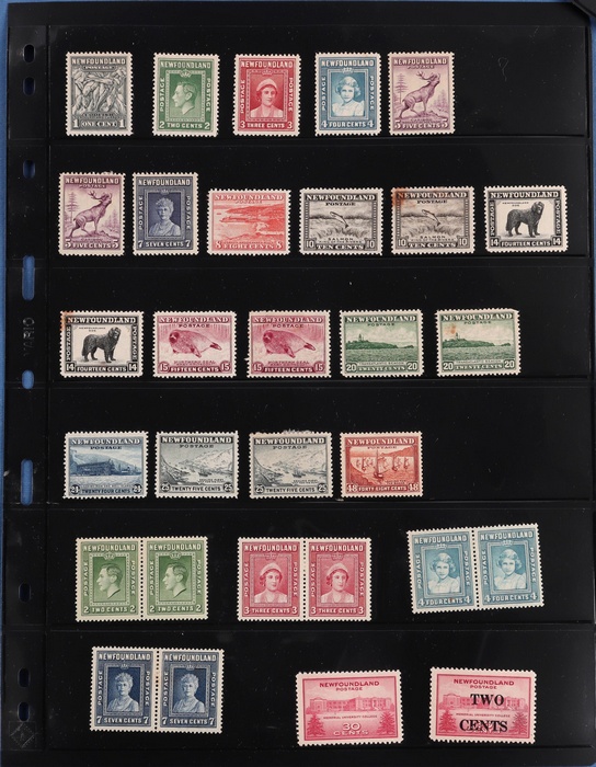 Lot 510