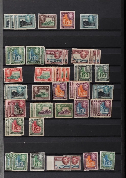 Lot 517