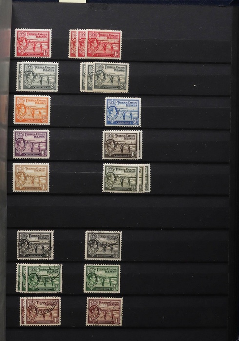 Lot 517