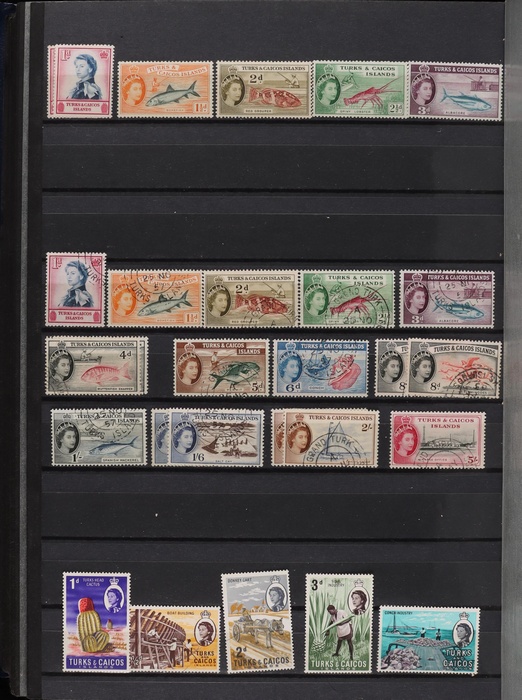 Lot 517