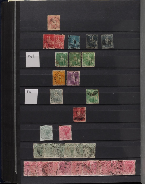 Lot 517