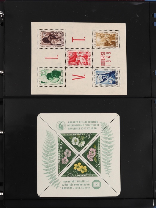 Lot 5323