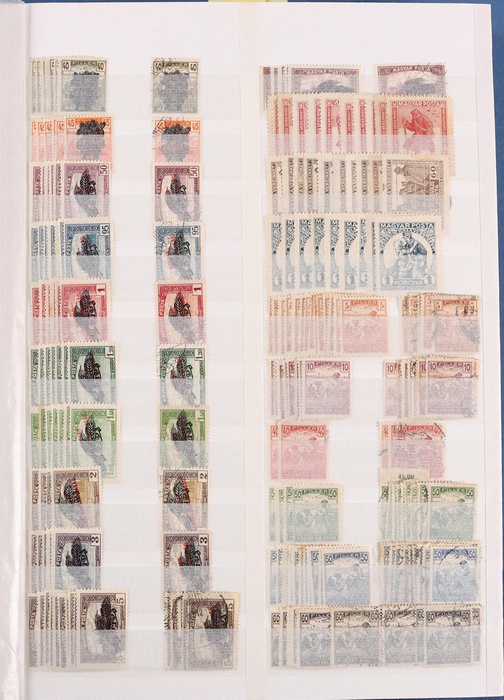 Lot 5323
