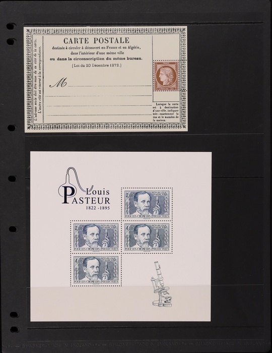 Lot 589