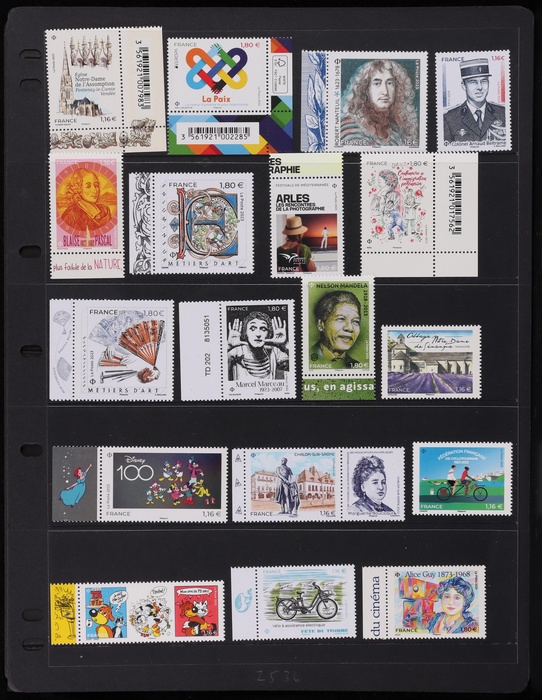 Lot 590