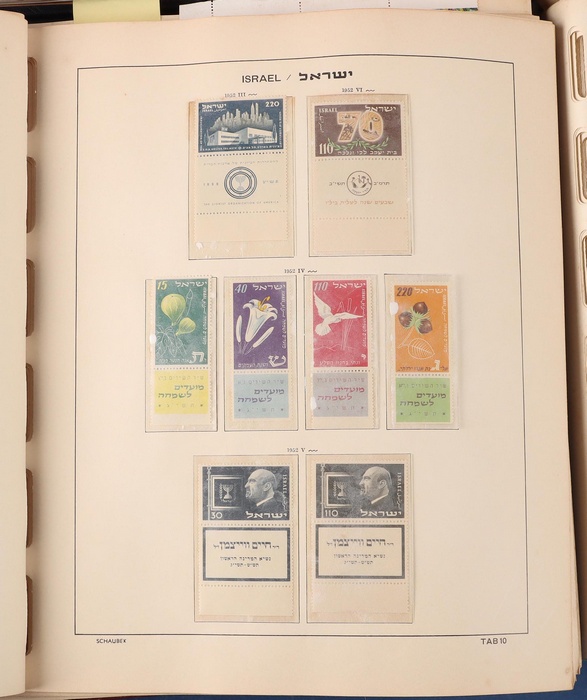 Lot 651