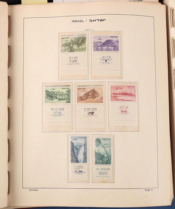 Lot 651
