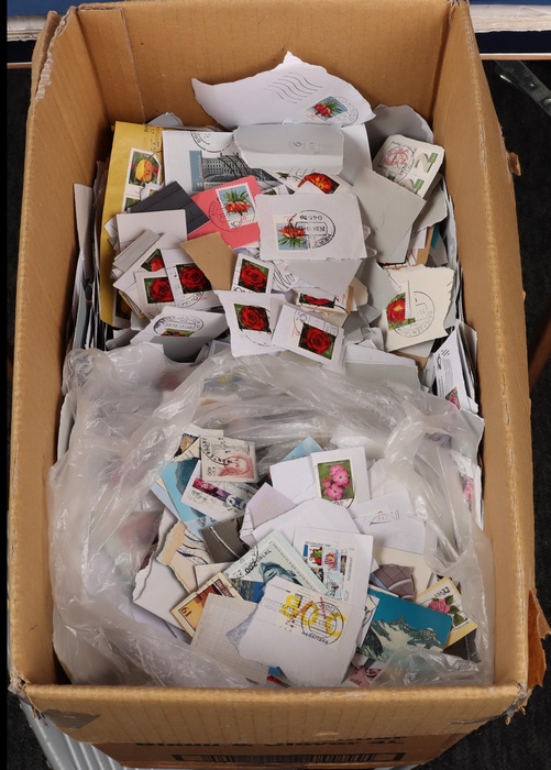Lot 654