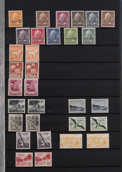 Lot 674