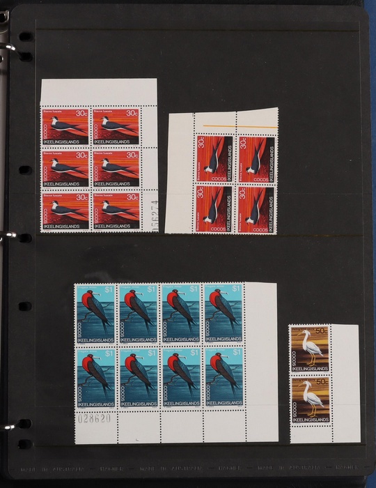 Lot 674