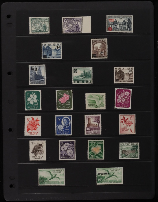Lot 696